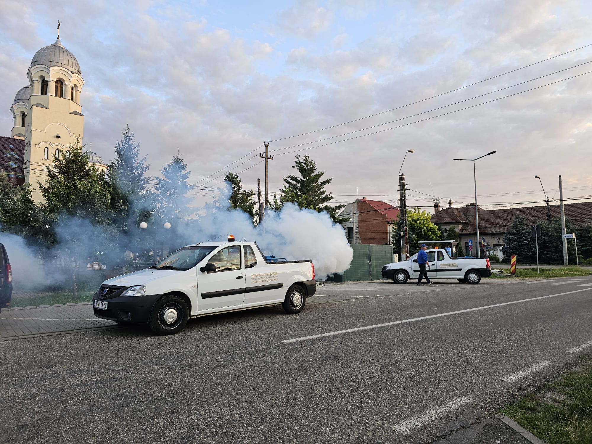 Acțiune de dezinsecție